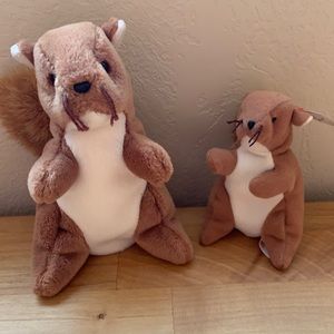 Ty NUTS The Squirrel
